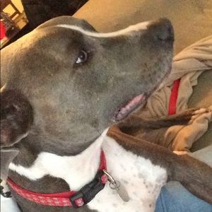 Meet your Posher, Dallas